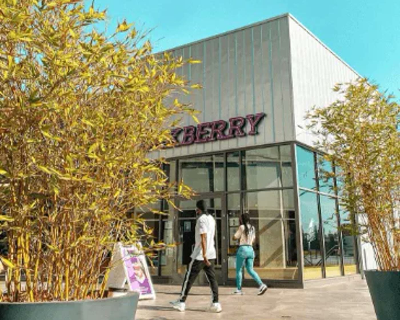 Oakberry Açaí – Funchal
